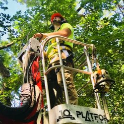 Huff's Tree Service - Huff's Tree Service