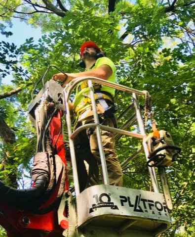 Huff's Tree Service - tree service in Wichita, KS