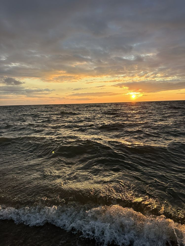 Warren Dunes State Park