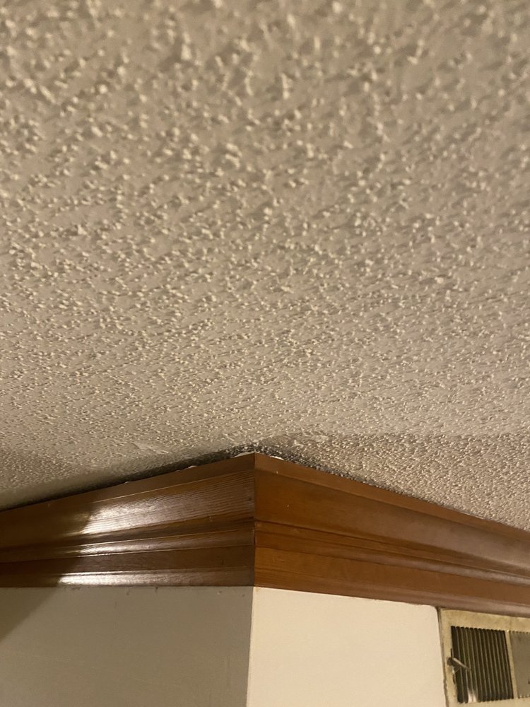 AMMONS PITTMAN PROPERTY MANAGEMENT Updated August 2024 10224 Durant