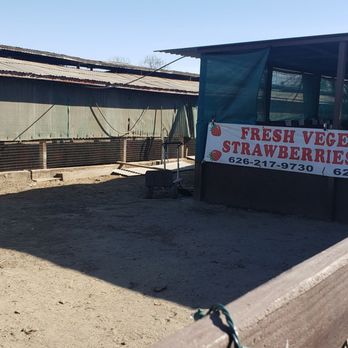 Maust's California Poultry - This is the fruit & vegetable stand - Farms Near Me - Chino, California Maust's California Poultry - This is the fruit & vegetable stand - Farms Near Me - Chino, California