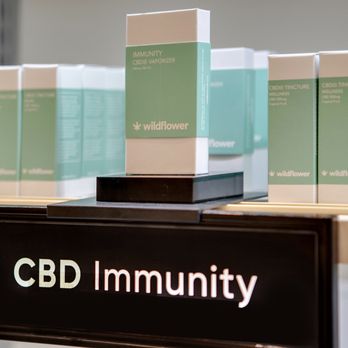 Hudson Wellness - CBD Immunity - Acupuncture Near Me - New York, New York