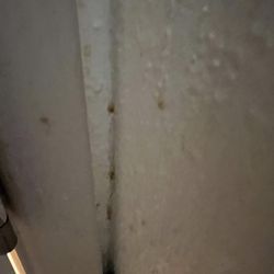 Epic Realty - Mold in bathrooms