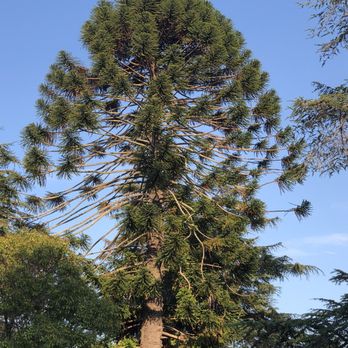 Boyd Memorial Park - Parks Near Me - San Rafael, California Boyd Memorial Park - Parks Near Me - San Rafael, California