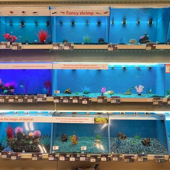 PetSmart - Fish  07-10-2022 - Pet Groomers Near Me - Aurora, Colorado