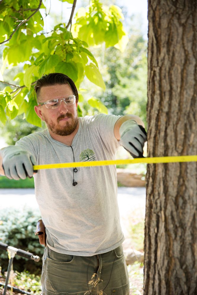 Flatirons Arbor Care - tree service in Denver, CO