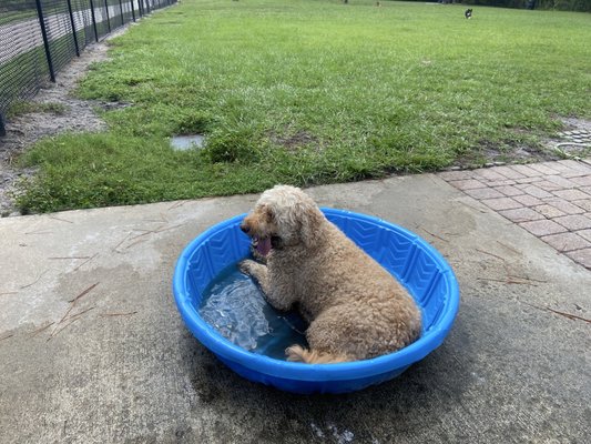 Dr. P. Phillips Community Park by null