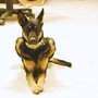 Photo of Pawsitivity