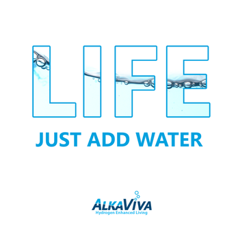 AlkaViva - LIFE - Just add water! - Water Purification Services Near Me - Reno, Nevada AlkaViva - LIFE - Just add water! - Water Purification Services Near Me - Reno, Nevada