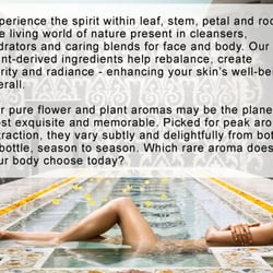 Z Place SalonSpa