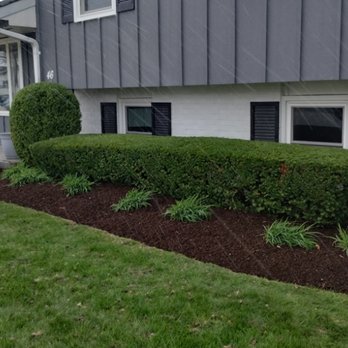 Adrian's Landscaping - Trimming, mulching, and clean up. - Landscaping Near Me Adrian's Landscaping - Trimming, mulching, and clean up. - Landscaping Near Me
