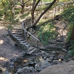 Live Oak Park - Creek and stairway