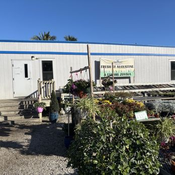 Meyer's Turf - Trailer to pay. - Nurseries & Gardening Near Me - West Palm Beach, Florida