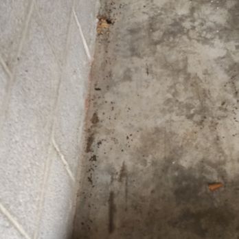 Atlas Moving Company - Rat feces, they stored my garbage with my belongings. - Movers Near Me
