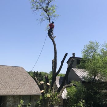 Prados Tree Service - Tree Services Near Me