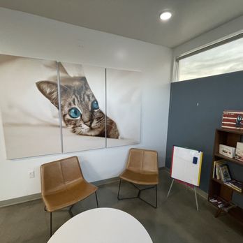 Armstrong Pet Hospital - Veterinarians Near Me - Clovis, California