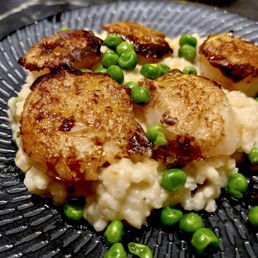 Scallops