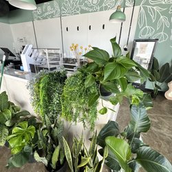 Cha Community - Plants at Cha Community boba