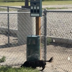 Castle Rock Inn & Suites - Well-kept dog park
