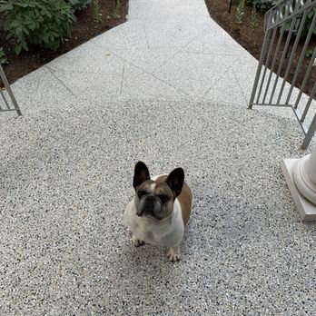 Next Level Concrete Coatings - Front steps and walkways in "Cabin Fever" flake. - Masonry/Concrete Near Me Next Level Concrete Coatings - Front steps and walkways in "Cabin Fever" flake. - Masonry/Concrete Near Me