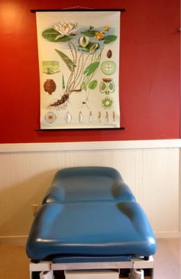 Photo of Oakland Naturopathic Medicine - Oakland, CA, US. Exam table