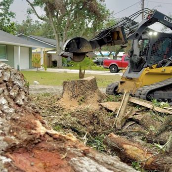 Watwood Company - Tree Services Near Me Watwood Company - Tree Services Near Me