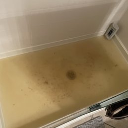 Sewage water.