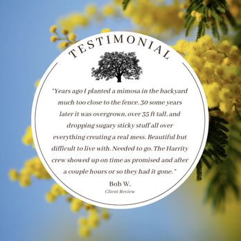 Harrity Tree Specialists - A recent tree removal testimonial. Get a Free estimate today at Harrity Trees.com - Tree Services Near Me - Portland, Oregon Harrity Tree Specialists - A recent tree removal testimonial. Get a Free estimate today at Harrity Trees.com - Tree Services Near Me - Portland, Oregon