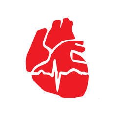 Premier Heart And Vascular Center