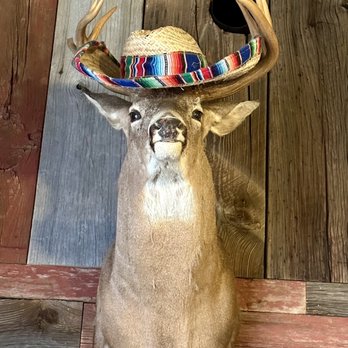 The Clarion River Lodge - a deer with a hat on his head - American Near Me - Cooksburg, Pennsylvania The Clarion River Lodge - a deer with a hat on his head - American Near Me - Cooksburg, Pennsylvania