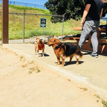 Four Happy Paws - Pet Boarding Near Me