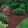 Photo of Chris Schoedel - Lawn Care & Landscaping