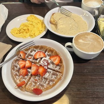 BuzzCatz Coffee & Sweets - Coffee & Tea Near Me - Orange Beach, Alabama BuzzCatz Coffee & Sweets - Coffee & Tea Near Me - Orange Beach, Alabama