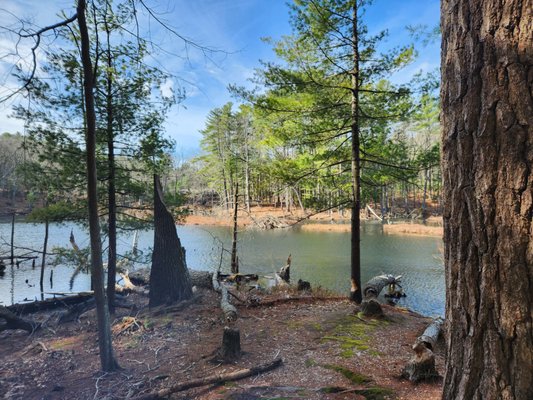 Walden Pond State Reservation by null