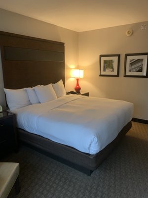Hotel 43 by null