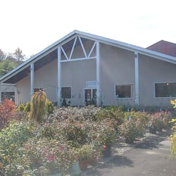 White Birch Nursery