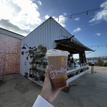Superbloom - Front area - Coffee & Tea Near Me - San Diego, California