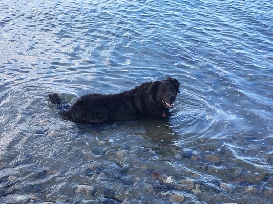 Ocean State Veterinary Specialists 1480 S County Trl East Greenwich Ri Veterinarians Mapquest