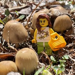 Bricks & Minifigs - Minifig foraging