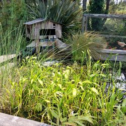 Blake's Coastal Nursery