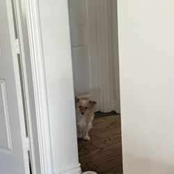 Harmony Place - Always has pups around and honestly such makes you feel at home.