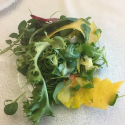 Restaurant des Délégués - Mixed salad