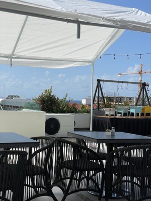 The Palm at Playa by null