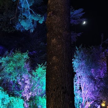 123 Farm - Lavender lights - Farmers Market Near Me - Cherry Valley, California