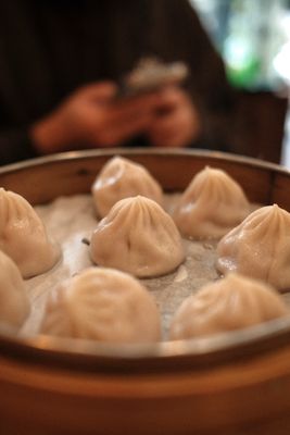 Luscious Dumplings by null