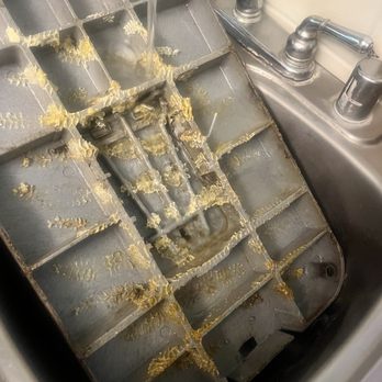Bee Craft Handyman Service - The top of our water main where the bees were located - Pest Control Near Me