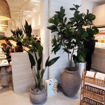 Pura Vida Miami - Breakfast & Brunch Near Me - New York, New York Pura Vida Miami - Breakfast & Brunch Near Me - New York, New York
