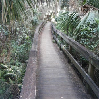 Palm Island Park - Gators can't get ya up here - Parks Near Me - Mount Dora, Florida Palm Island Park - Gators can't get ya up here - Parks Near Me - Mount Dora, Florida