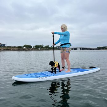 SUP Pups - At the helm! - Paddleboarding Near Me - San Diego, California SUP Pups - At the helm! - Paddleboarding Near Me - San Diego, California
