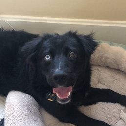 Milo